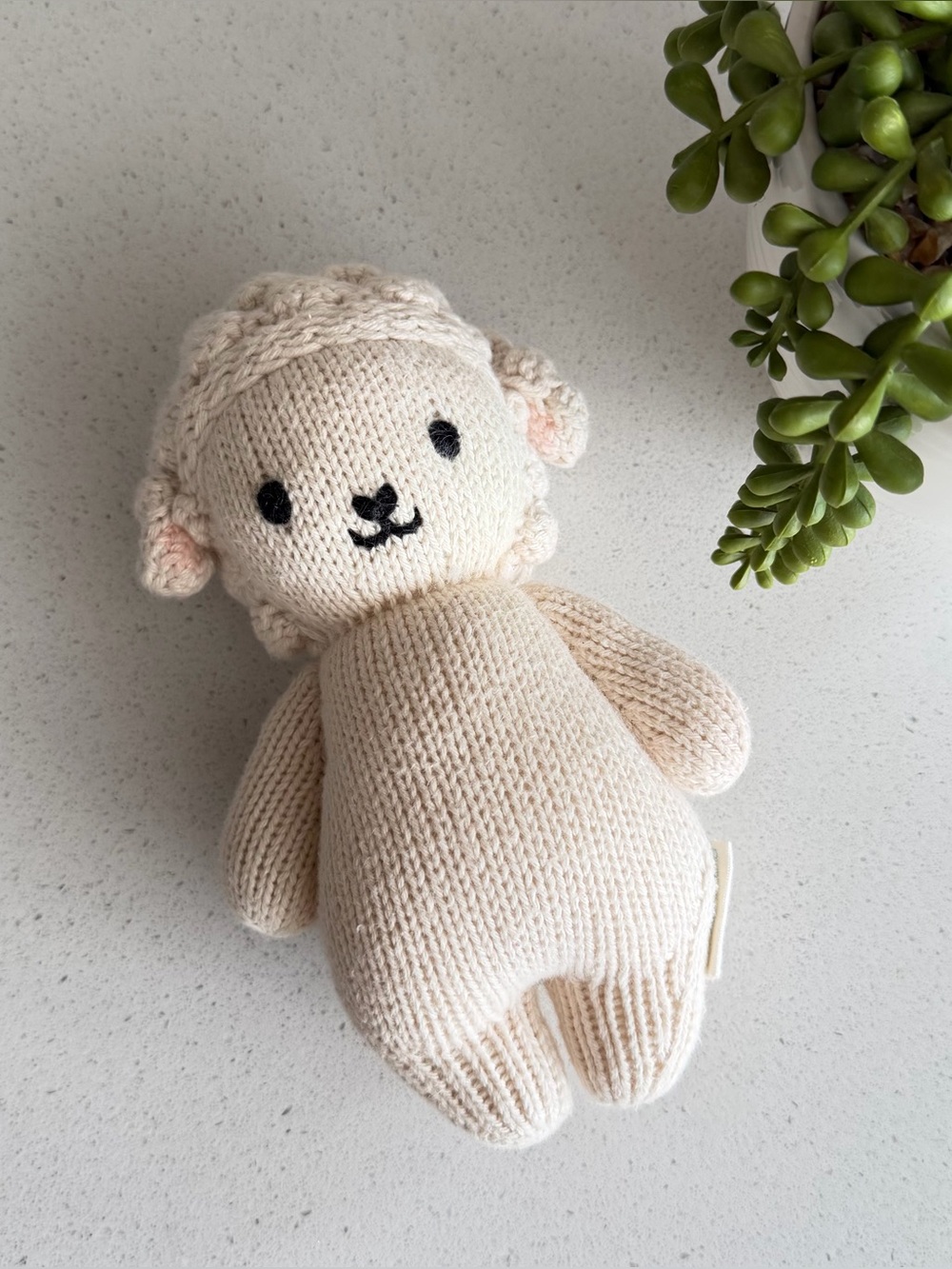 Cuddle and Kind Baby Lamb